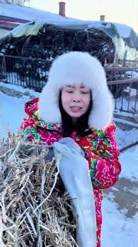 Why does a five-month-old Northeastern cat eat only two meals a day Just watch a video