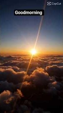 Commit your work to the Lord.