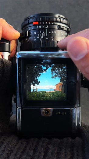 ハッセルブラッドのファインダーを覗けば、日常に潜む美しい風景が見えてくる 機材：203FE & CFV 100C | Hasselblad