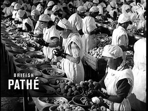 Sunshine For Export (1949)