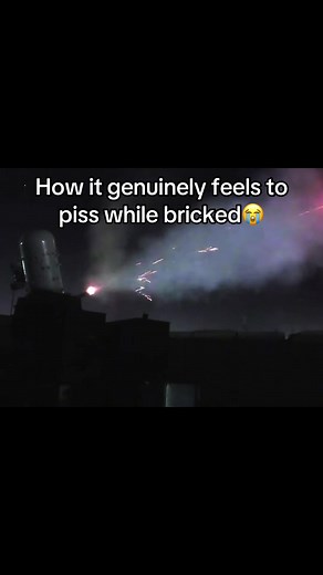 Pissing While Bricked: The Relatable Struggle