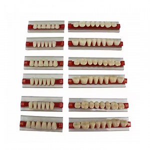 [Hot Item] Dental Denture False Teeth Synthetic Resin Upper Lower Complete Acrylic