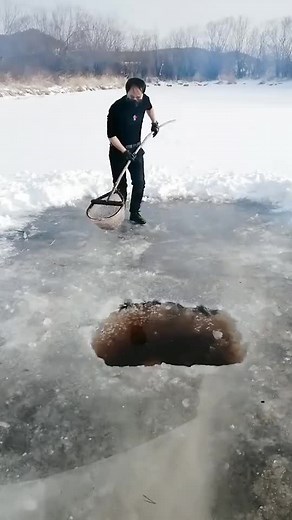 cute SaKsHi on TikTok