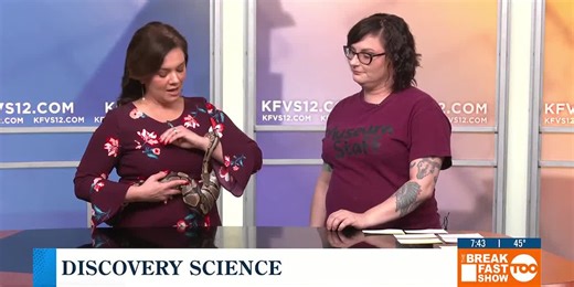 Discovery Science:  The difference between hibernation & brumation