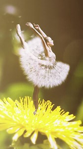 4M views | You won't believe what you can do on an iPhone. Download Enlight! | Photoleap by Lightricks | Facebook