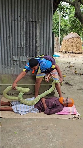 Most Fake King Cobra Prank on Grandpa – His Reaction Is HILARIOUS! 😂🐍