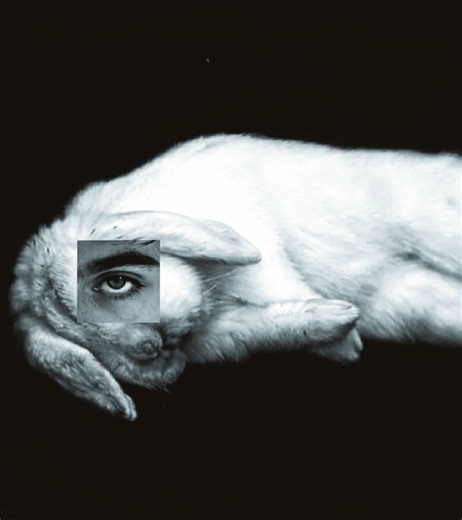 Regulus Black: The Angry Young Wolf