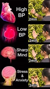 2.7M views · 11K reactions | Daily Mudras #motivation #high #low #blood #pressure #sharpens #memory #stress #anxiety #yoga #Lord | Sarv Samridhi Yoga | Facebook