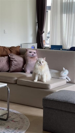 Bersih-bersih Lemari Makeup dan Skincare 2026