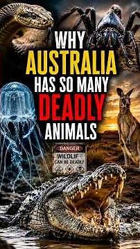 Why Australia Has So Many Deadly Animals 🐍🇦🇺 #australia #australiadiaries #facts #survivalday