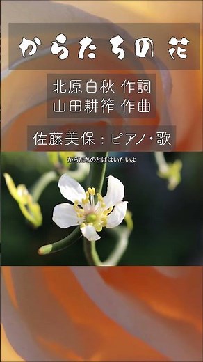 ＃美保の歌 ❤️『からたちの花』1925年（大正14年）発表。山田耕筰の少年期のエピソードを北原白秋が詞にした。