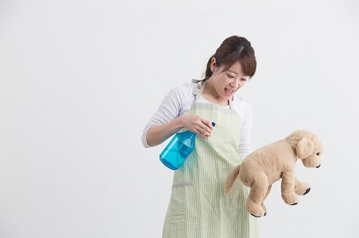 Best Flea Spray for Furniture - [5 OPTIONS REVIEWED 2023] - Canine HQ