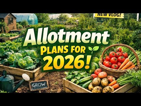Allotment Plans for 2026 🌱 | New Vlog Series Plan & Allotment Update