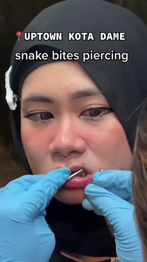 Snake Bites Piercing Guide: What to Expect and How to Care for Them