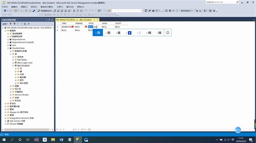 【操作实例6-2-1】在数据库中建表并录入数据