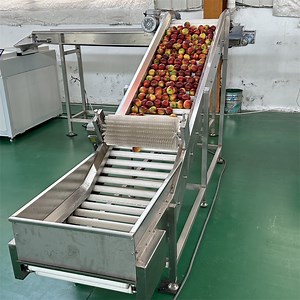 [Hot Item] Fruit Sorting Machine Cleaning Waxing Drying Fruit Sorting Machine