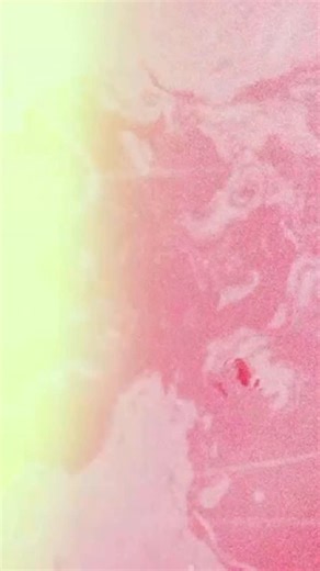 18K views · 14 reactions | Arjen Lucassen's new solo album "Songs No...