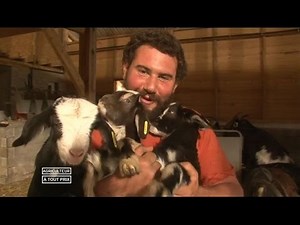 Farmer at any cost Part 1 - Replay streaming