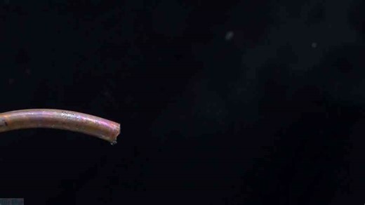 Everyday Science_ Starting fire with Steam