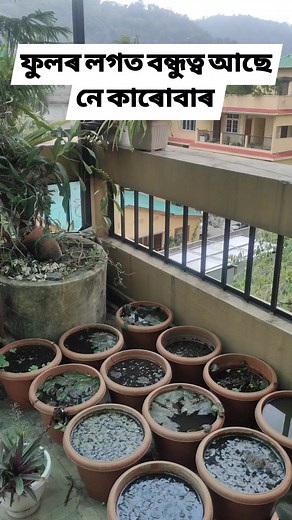 Daily lifestyles #followers #lifestyle #lifestyleblogger #lifestylephotography Kajol Lota Medhi | Parijat Lahkar