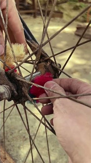 Restoring Childhood Dreams: Vintage Bicycle Makeover ​#OldMemories #VintageBicycle #Restoration