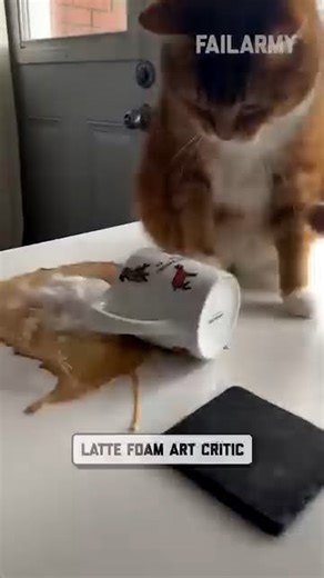 Pets are a big responsibility, but not as big as these fails 🐶 | FailArmy