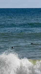 16K views · 691 reactions | Coast Guard Beach - Eastham, Massachusetts Cape Cod | Cape Cod, Massachusetts | Facebook