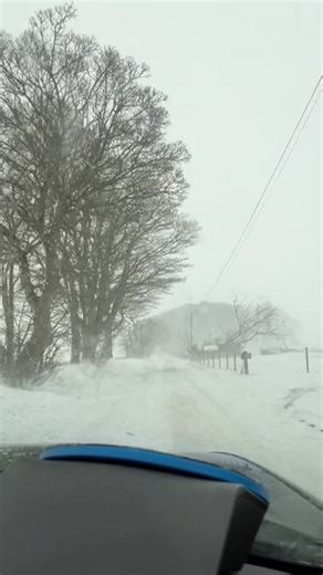 Wise words #scotland #snow #aberdeenshire