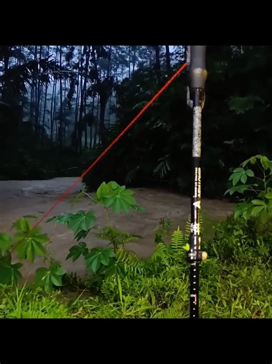 Relaxing Rain Camping ASMR in Forest