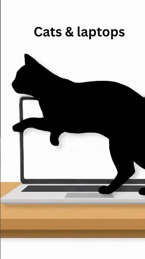 Cats & laptops #catart #catcartoon #animation #cats