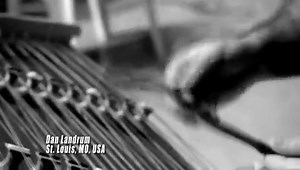 Yanni Hrisomallis /Yanni Live! The Concert Event/ /2006/ 1