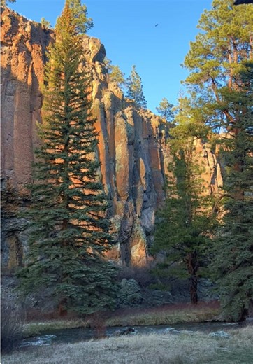 Everyone waits for summer to visit the mountains… but spring might be the most magical time. Frozen mornings, rushing creeks, quiet trails, and cliffs glowing in the sun. 📍Greer, Arizona #greeraz #weddingtok #arizona #nature #getoutside