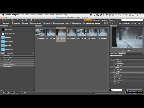 #03 Adobe Bridge Interface Setup - Adobe Photoshop CC Tutorials