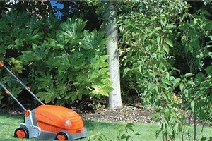 How To Choose A Lawn Scarifier or Lawn Raker