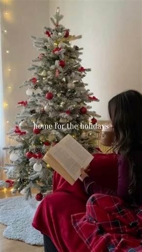 Home for the Holidays