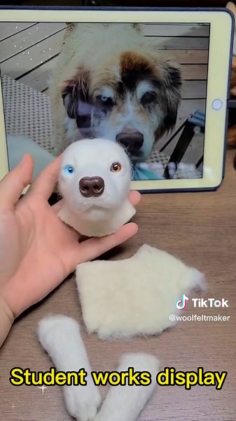 Tutorial Completo de Simulación de Mascotas