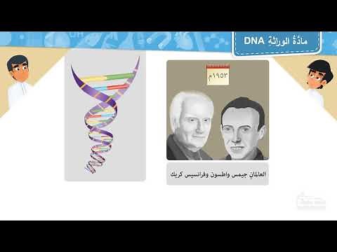 مادة الوراثة DNA