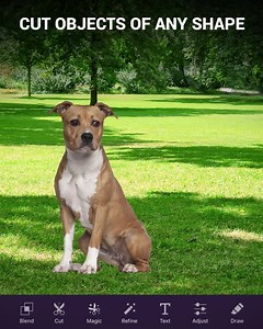 1.2K reactions · 70 shares | ✂️Revolutionary Magic Cut tool for quick and smart automatic cutouts of the objects! ✂️ Try now for free!  | Pixomatic | Facebook