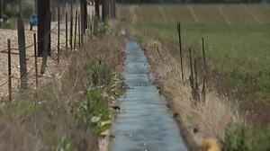 IGWA seeks $30 million state investment in ground water