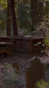 34K views · 2K reactions | A very old cemetery becoming one with...