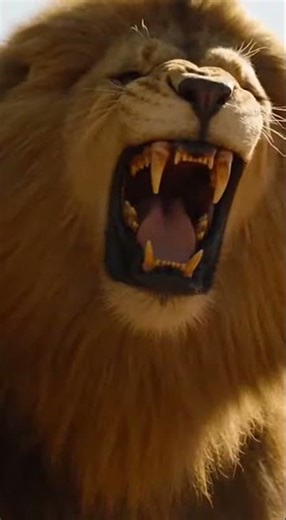 Lion Attacks Jeep! 🦁 Man Escapes Just in Time – Real Safari Horror Moment