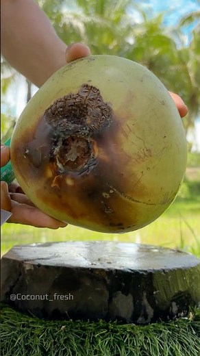 Would You Drink This Coconut?