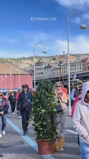 Common zam that’s not nice 😅 #bushmanprank #funnyvideos #prank #funny #viralvideo #humour | Zamonination1