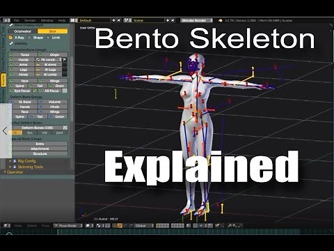 The Avastar Bento Rig Explained
