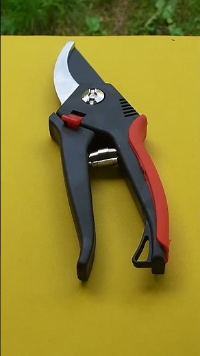 Sharpening Secateurs (Pruners) with a Stone
