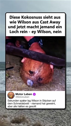 NIEMAND RETTET WILSON VOR DEM MESSER