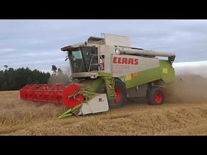 Gerste dreschen mit Claas Lexion 450
