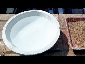 DIY Bird Bath Bowl | Water Bowl for Birds | DIY Cement Bowl | Cement Crafts | Sparky Designs