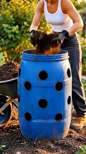 Learn to grow your own food at home🥦🥬#hydroponics
