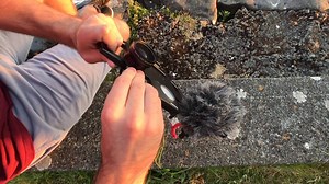 Meet iOgrapher! We sell products that enable you to create better video with your mobile devices! | iOgrapher | Facebook